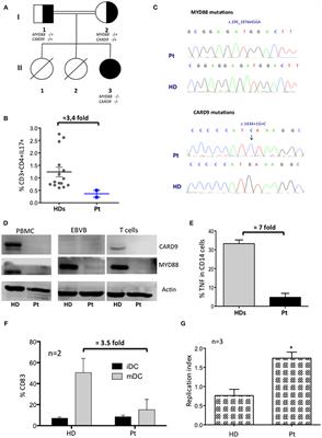 First Case of Patient With Two Homozygous Mutations in MYD88 and CARD9 Genes Presenting With Pyogenic Bacterial Infections, Elevated IgE, and Persistent EBV Viremia